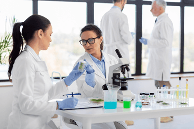 Two female scientists in lab coats and gloves discuss a plant sample at a table with a microscope and beakers. Two other scientists work in the background. The lab has large windows and a modern appearance.