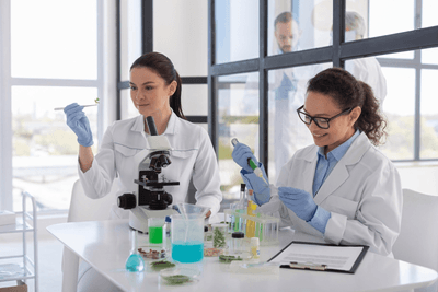 Two scientists in lab coats and gloves are working in a laboratory. One is using a pipette, and the other is examining a sample. A microscope, test tubes, and beakers with colored liquids are on the table. A third person is in the background.