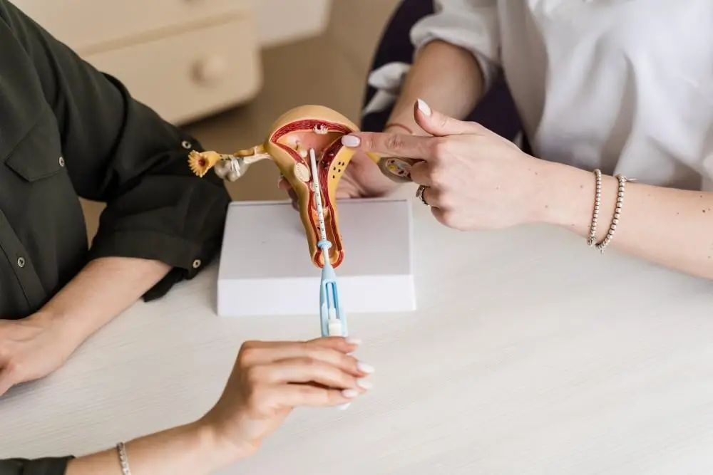 Two people discuss a female reproductive system model; one points at the uterus while the other holds a blue and white medical tool, possibly for demonstration or educational purposes.