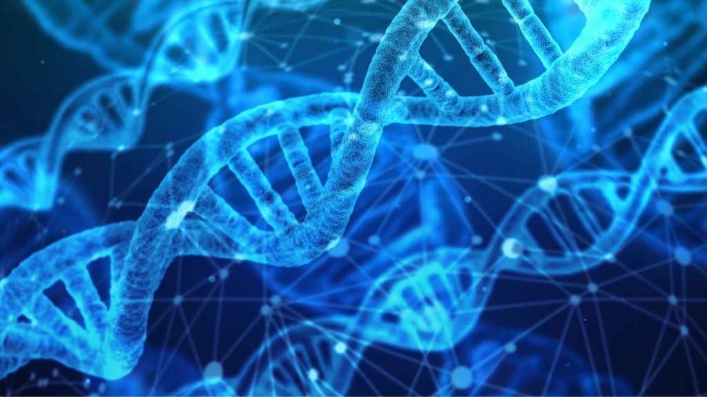 A glowing blue DNA double helix structure set against a digital network of lines and nodes.